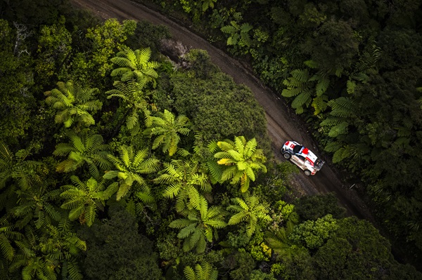 Red Bull: WRC launches Sustainability Roadbook